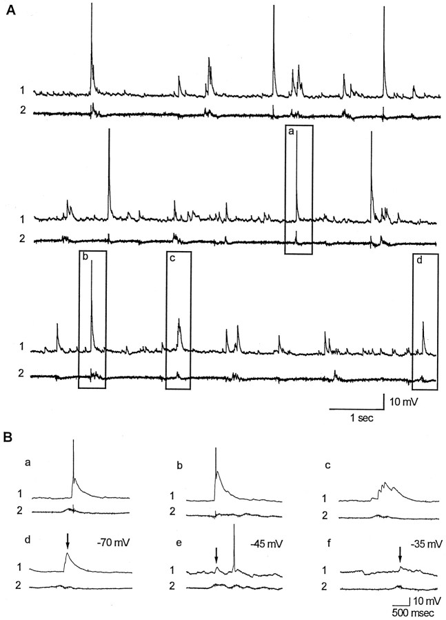 Fig. 9.