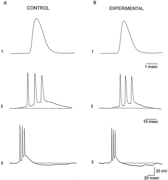 Fig. 10.