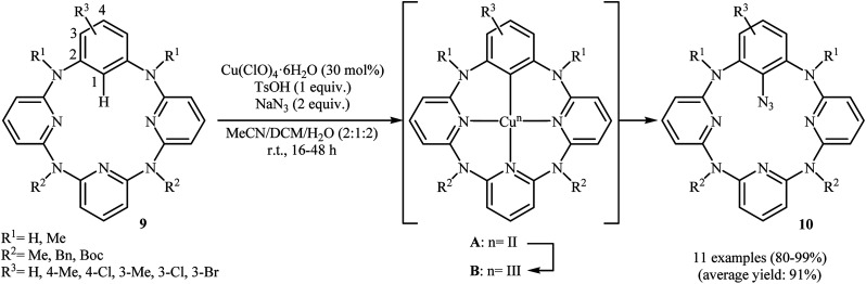 Scheme 5