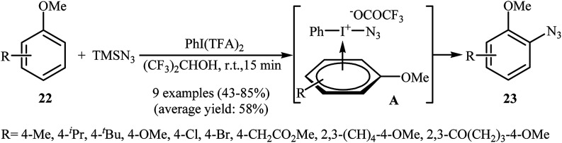 Scheme 14