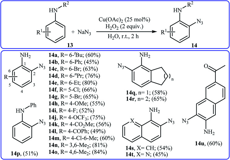 Scheme 8