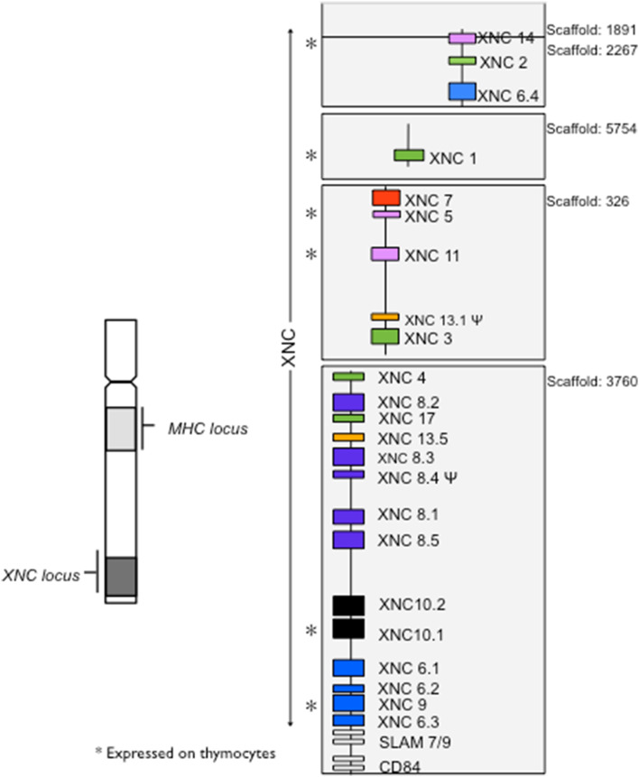 Fig. 1