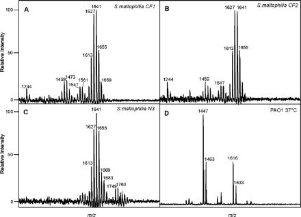 FIG. 2.