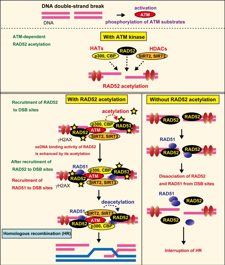 Fig 20