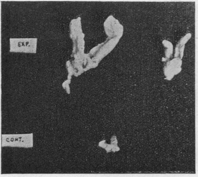 Fig. 3a.