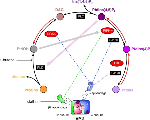 FIGURE 10.