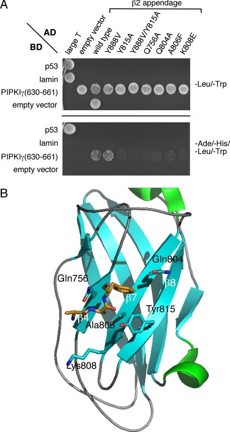 FIGURE 7.