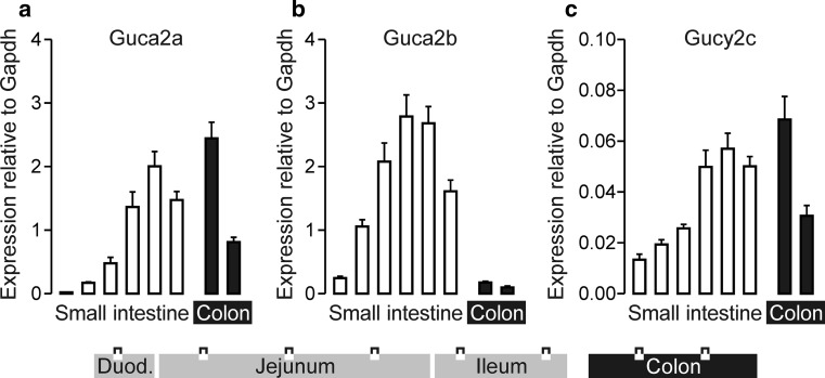 Fig. 1