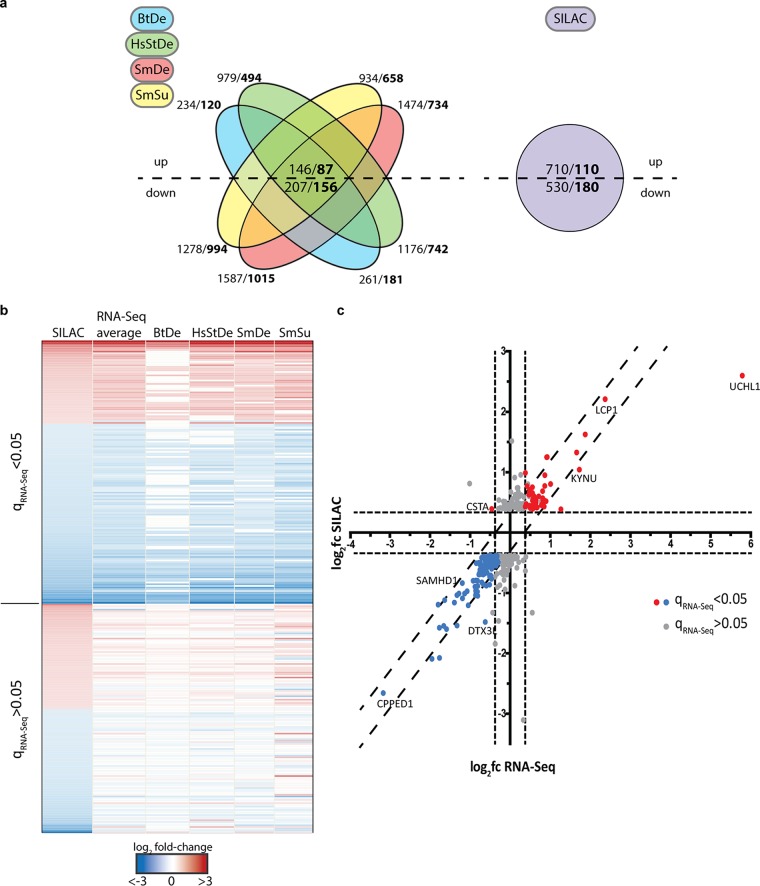 FIG 3