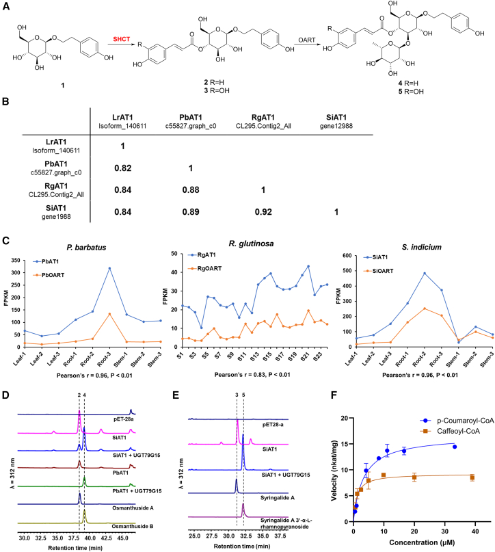 Figure 2