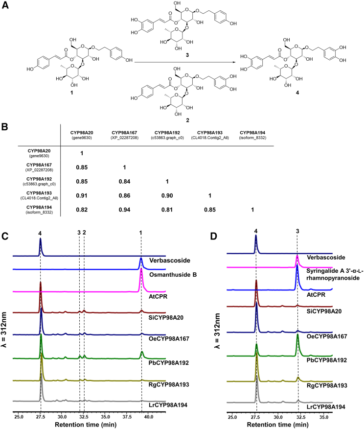 Figure 4