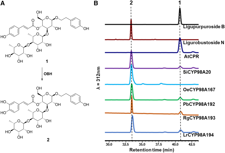 Figure 5
