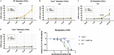 [Figures 4A to 4D are line graphs titled wild type brainstem (trigeminal nucleus caudalis) supercinnamaldehyde, transient receptor potential channels ankyrin 1 begin superscript negative per negative end superscript Brainstem (trigeminal nucleus caudalis) supercinnamaldehyde, Wild type Brainstem (trigeminal nucleus caudalis) pentachlorophenol, transient receptor potential channels ankyrin 1 begin superscript negative per negative end superscript Brainstem (trigeminal nucleus caudalis) pentachlorophenol, plotting calcitonin gene-related peptide (normalized to basal), ranging from 0 to 12 in increments of 2 (y-axis) across basal, 1 micromolar, 10 micromolar, and 100 micromolar (x-axis) for supercinnamaldehyde and vehicle; supercinnamaldehyde and vehicle; pentachlorophenol and vehicle; ; pentachlorophenol and vehicle, respectively. Figure 4E is a line graph titled myography of basilar artery, plotting dilation (percentage of 3 asterisk 10 to 7 molar U 46619), ranging from negative 100 to 50 in increments of 50 (y-axis) across log of [pentachlorophenol molar], ranging from negative 7 to 4 in unit increments (x-axis) for transient receptor potential channels ankyrin 1 begin superscript negative per negative end superscript, wild type plus calcitonin gene-related peptide antibodies, and wild type.