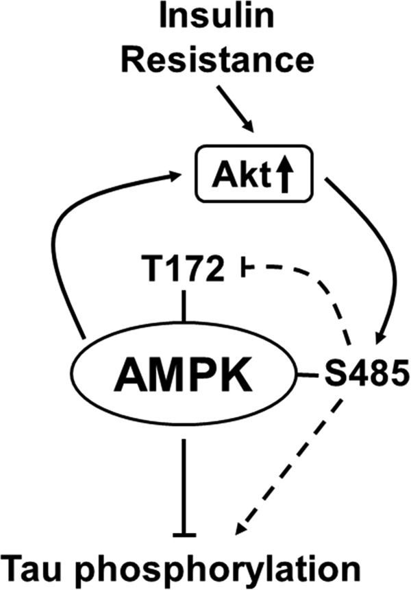 FIGURE 7.