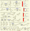 Figure 37