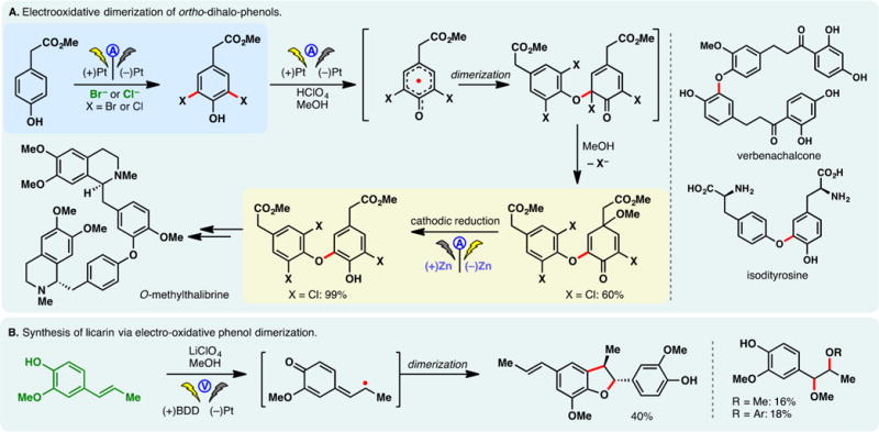 Figure 22