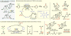 Figure 35