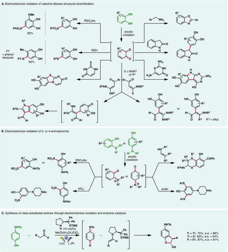 Figure 24