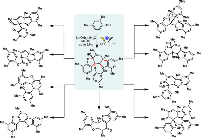 Figure 20