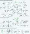 Figure 24