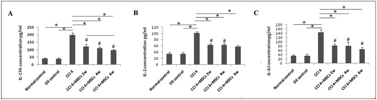 Fig 10