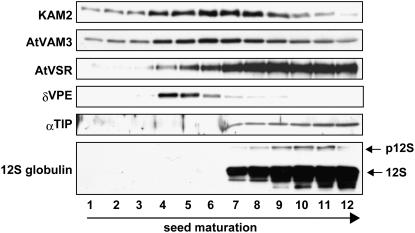 Figure 10.