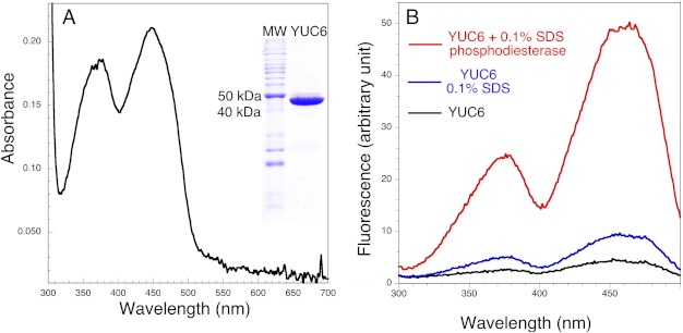 FIGURE 2.