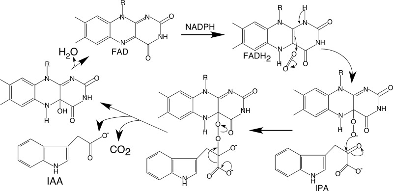 FIGURE 7.