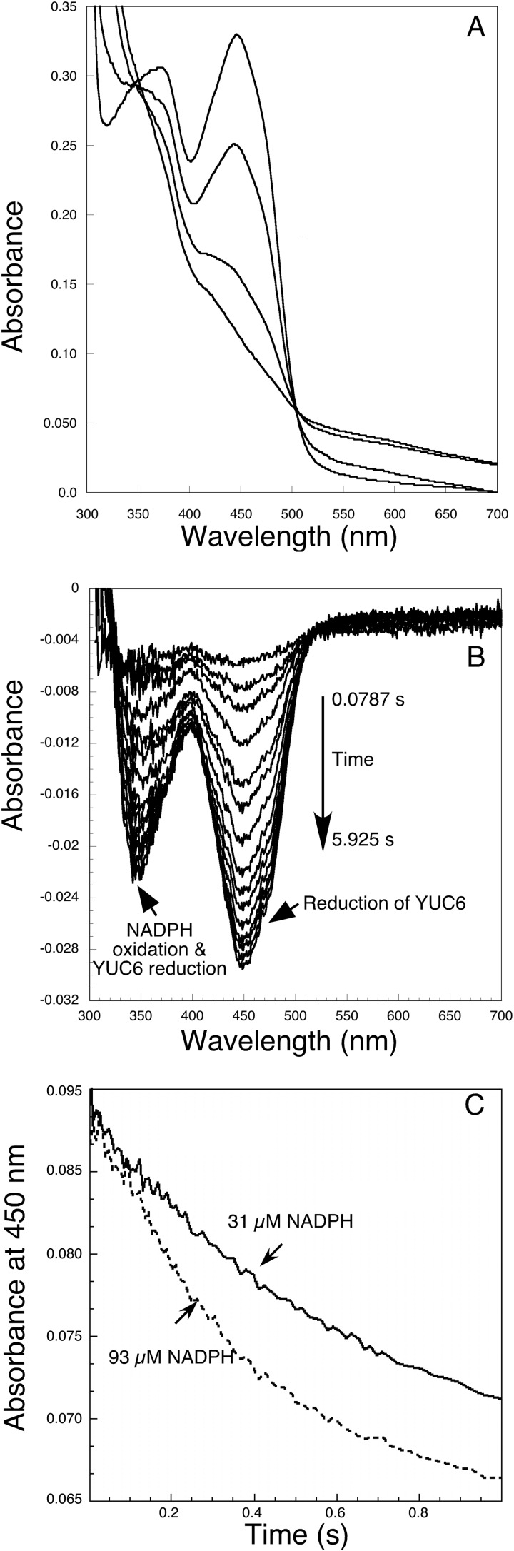 FIGURE 3.