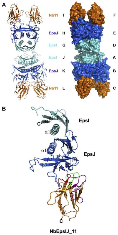 Fig. 2