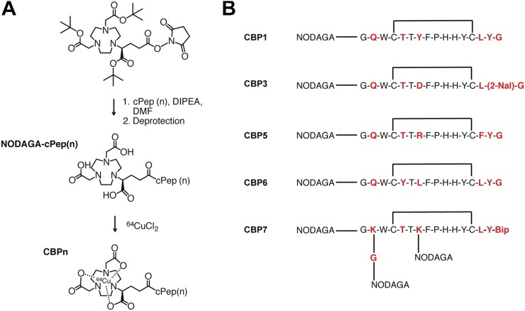 FIGURE 1.