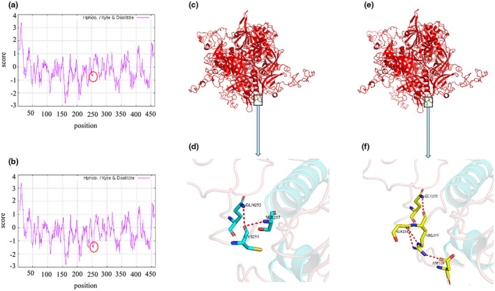 FIGURE 3