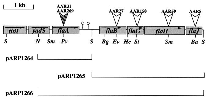 FIG. 3