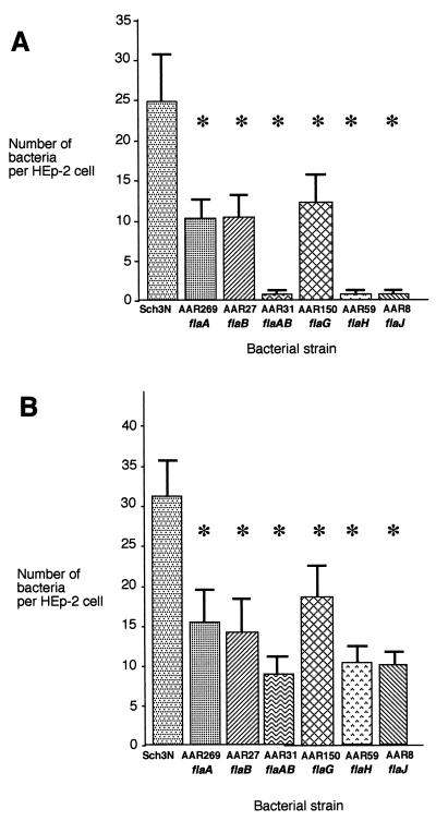 FIG. 7