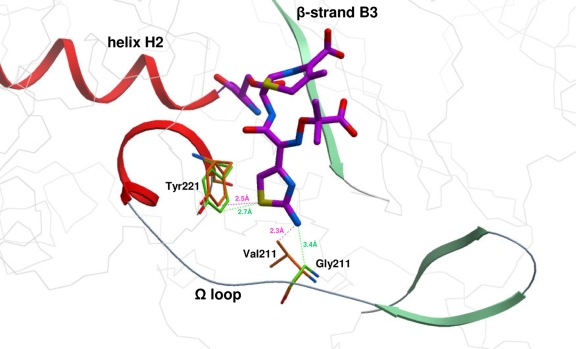 FIG. 2.