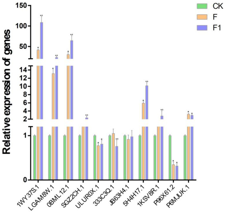 Figure 7