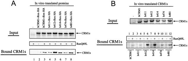 FIG. 4.