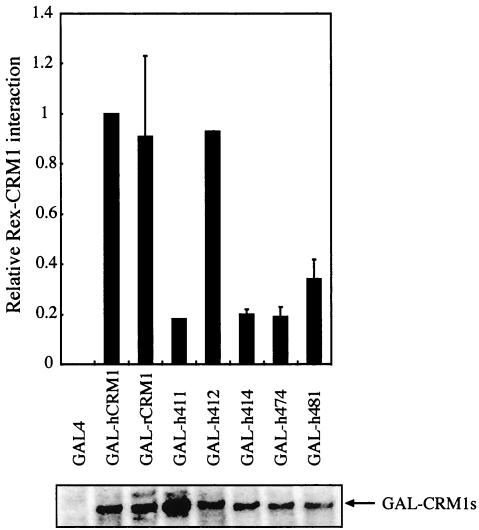 FIG. 2.