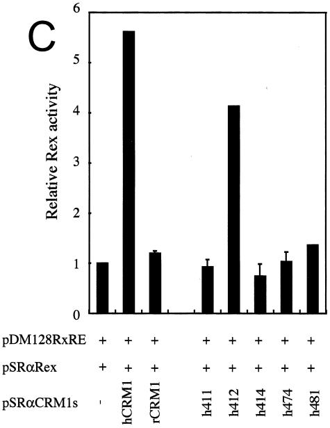 FIG. 1.