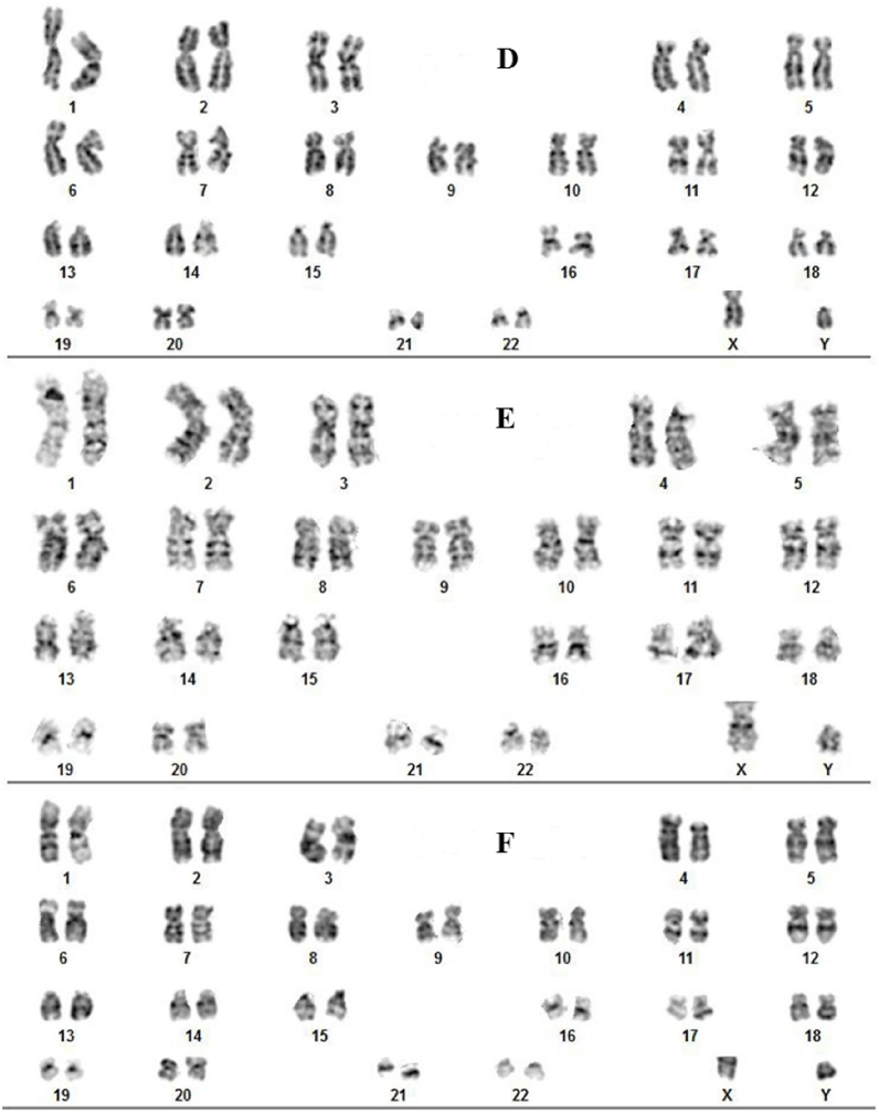 Fig. 11