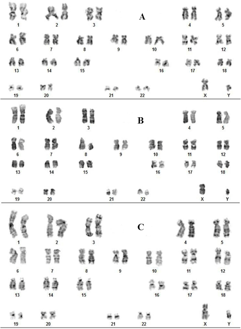 Fig. 11