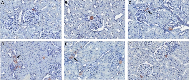 FIG. 6.