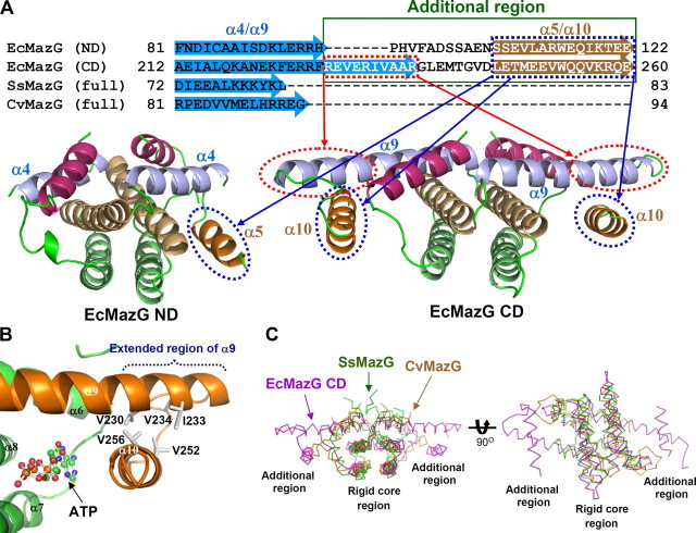 FIGURE 5.