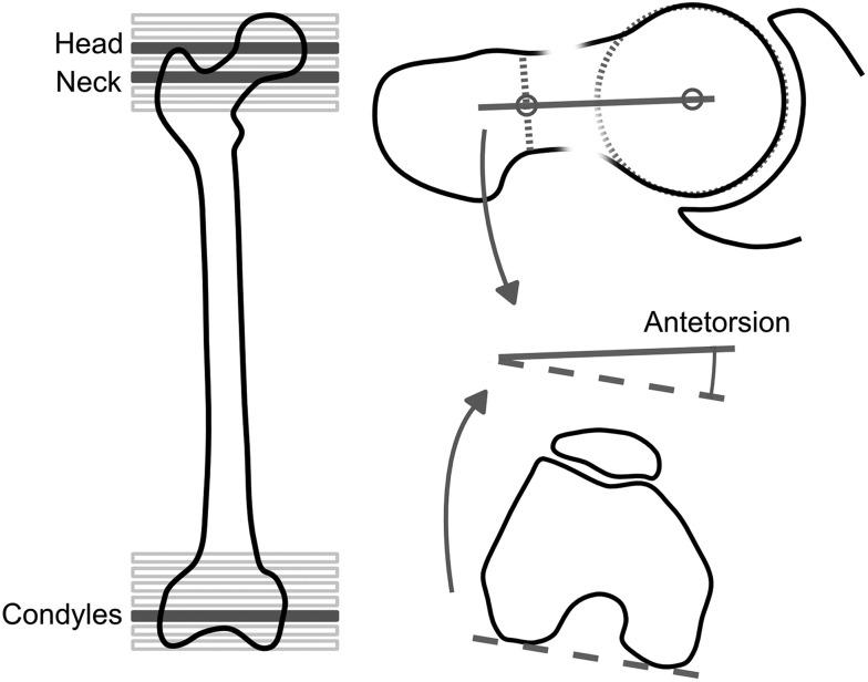 Fig. 4