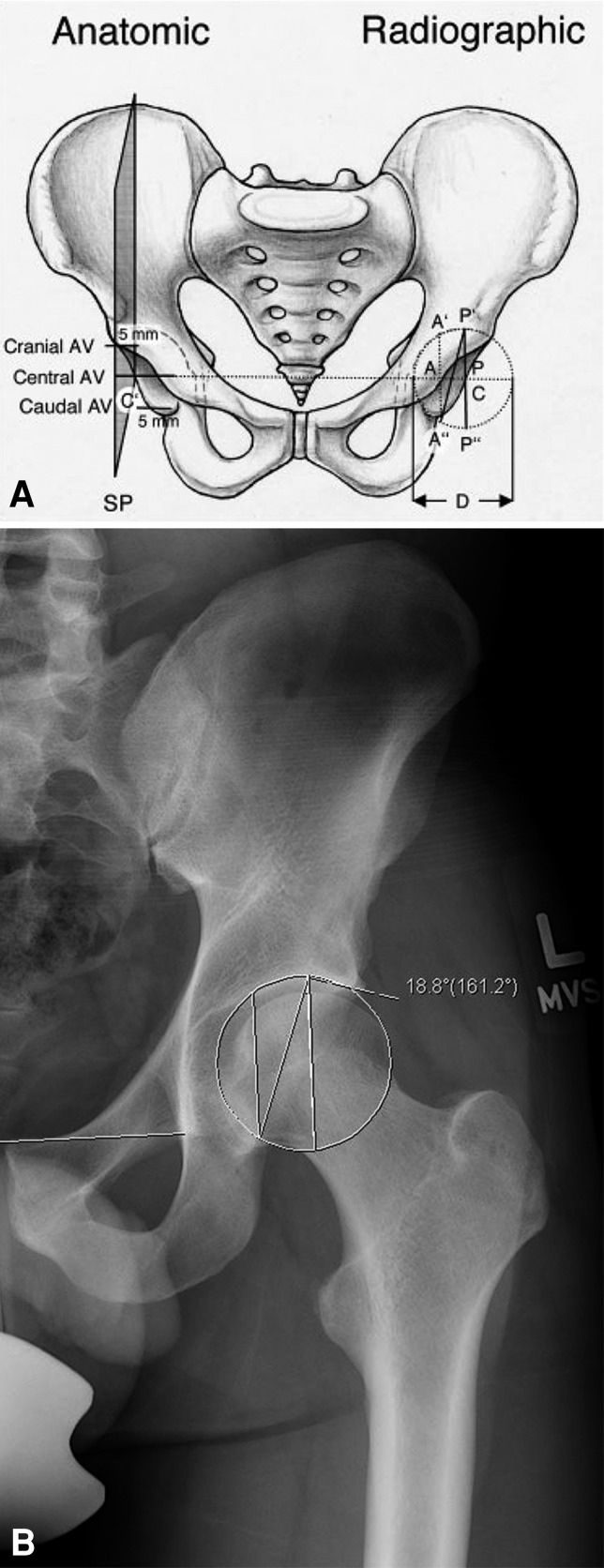 Fig. 3A–B