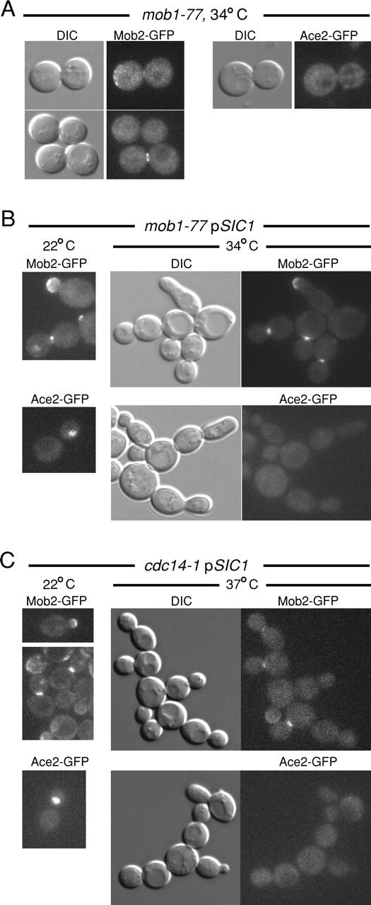 Figure 9.