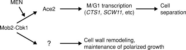 Figure 10.