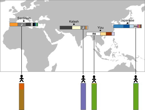 Figure 5