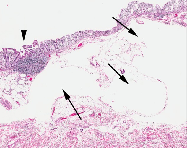 Figure 3