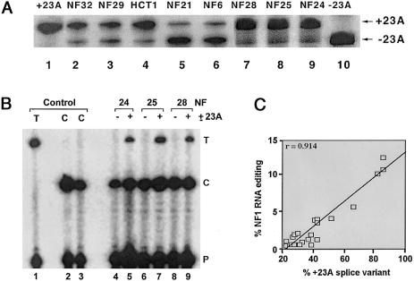 Figure  6